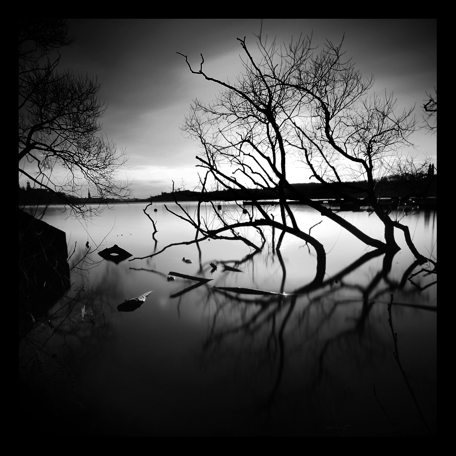 Mr Tree, photography by Calle H&ouml;glund. Canon Eos 400, Sigma 10-20 mm f: 4-5,6, Manfrotto 725B, ND400. Cropped and b&w work in Photoshop.. In Nature, Scenery, Waterscape