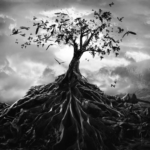 The Last Altar, processing by Michael Fallarme. http://eyepop.ph. In Nature, Vegetal, Tree, forest