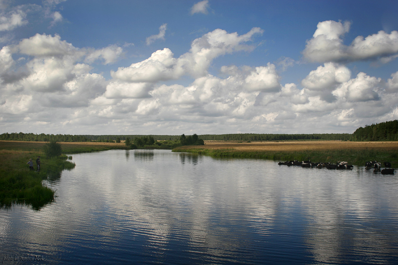 Rural Landscape, Artwork by Kostsov Nikolay. Nikon D3100. Canon EOS 20D