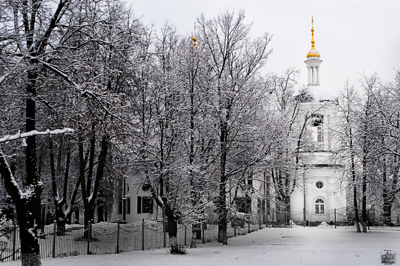 Whiter Than White, Artwork by Kostsov Nikolay. Canon EOS 20D. Canon EOS 20D