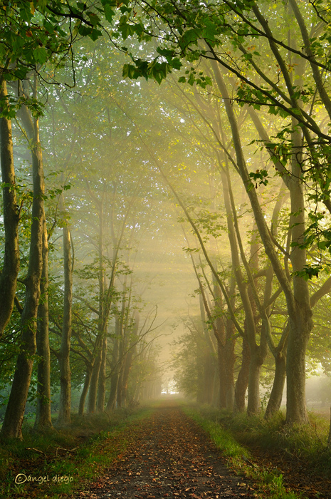 Untitled, photography by &aacute;ngel Diego. In Nature, Scenery