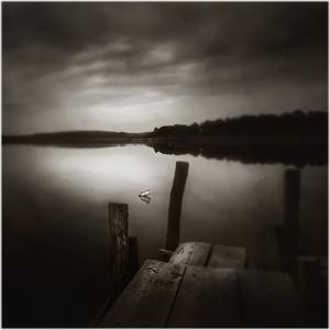 This Is My Message For U by Biserko Fercek