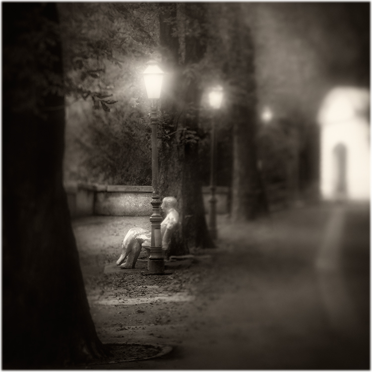 Where The Streets Have No Name, photography by Biserko Fercek. In Construction, Place, Garden, park