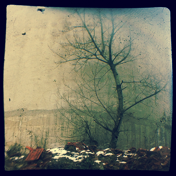 winter #2, photography by Sasa Lazic. TTV of Kodak Brownie + Xprocess. In Nature, Weather