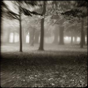fog IV by Sasa Lazic