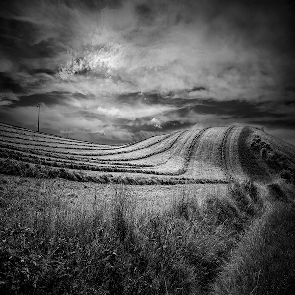 Centrifugal fields forever, photography by Sylvain Lagarde. In Nature, Scenery