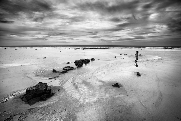 Juste One Little Bird, photography by Sylvain Lagarde. In Nature, Scenery, Beach. Juste One Little Bird, photography by Sylvain Lagarde. Image #362381