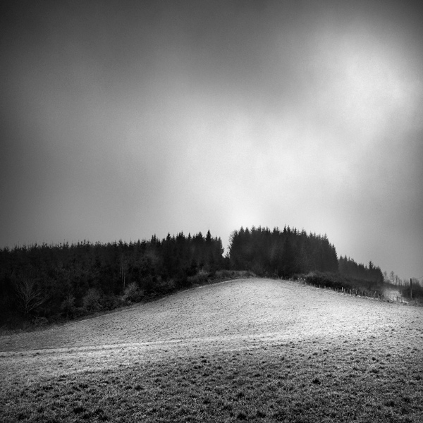 In Nature, Scenery, Countryside. Natural Kyphosis, photography by Sylvain Lagarde. Image #388991