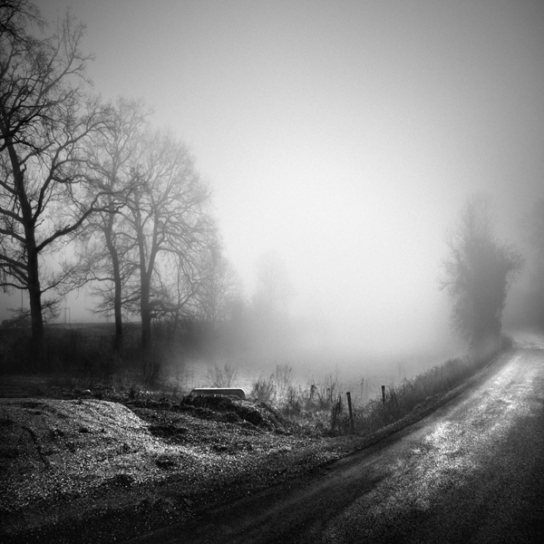 Gothic reminiscence, photography by Sylvain Lagarde. In Nature, Weather