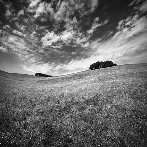 Arrival is behind par Sylvain Lagarde