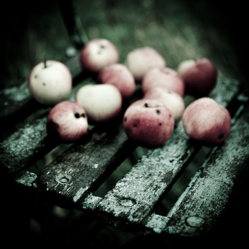 In Nature, Vegetal, Fruit, vegetable. 2009...les Derni&egrave;res Pommes, photography by Laurent Ferriere. Image #386964