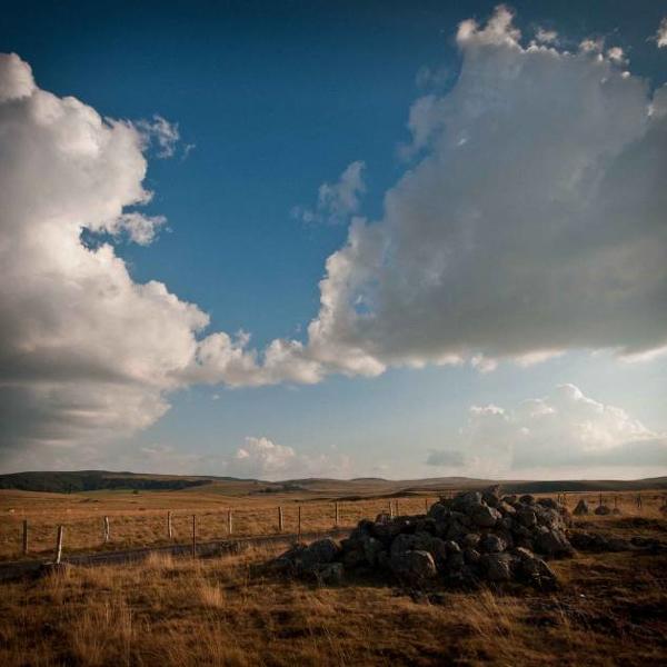 Aubrac, Artwork by Ivan Kloboukoff. D90. In Nature, Scenery, Countryside