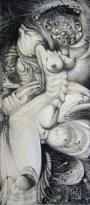 Torso, drawing by Otto Rapp. graphite on etching paper. drawing. In People, Nude, Female