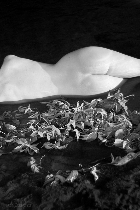 Untitled, photography by Anca Cernoschi. In People, Nude, Female