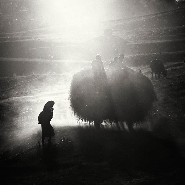 In People, Everyday, Countryside. Country side, photography by Bogdan Panait. Image #110894
