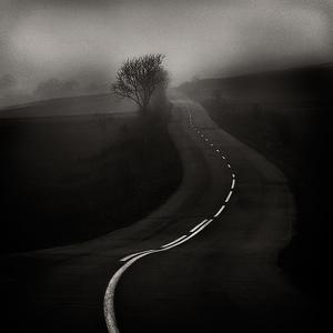 Sorry by Bogdan Panait