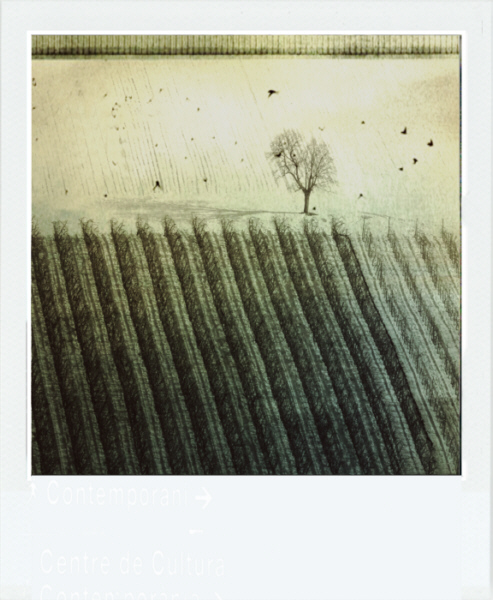 Winter, photography by Patrick Martin. In Nature, Scenery