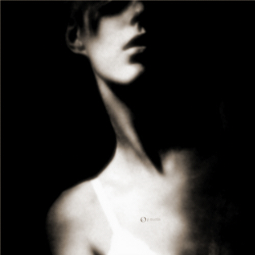 ton sur ton, Artwork by Patrick Martin