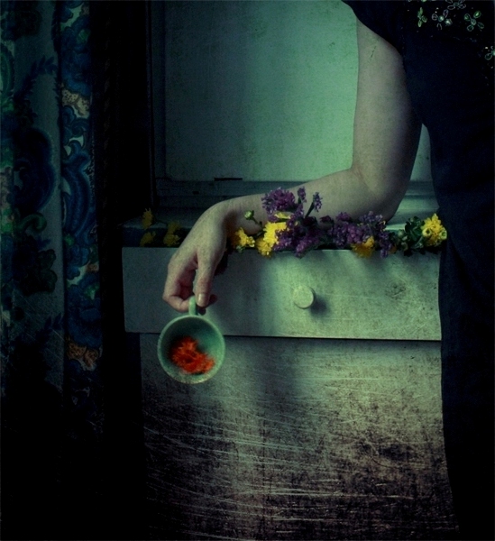 The Ruby End, photography by Raluca Deca. "Due to lack of interest tomorrow is canceled". In Object, Still life