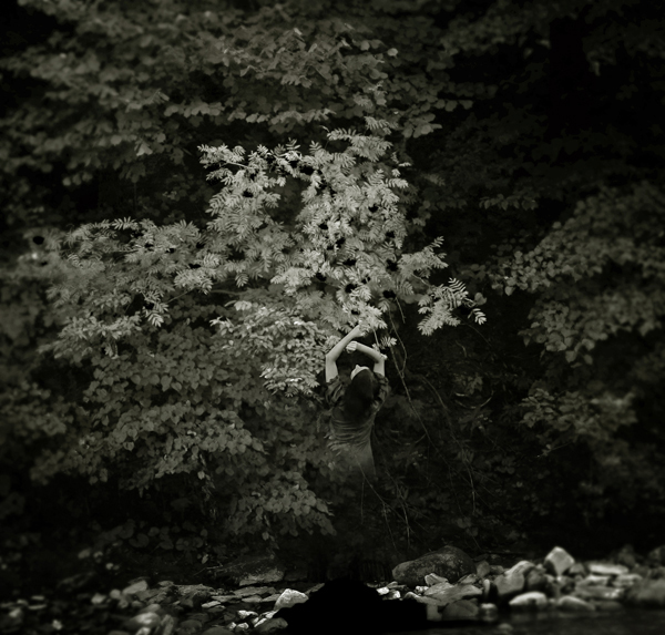 The Soul Of A Tree, photography by Raluca Deca. http://www.youtube.com/watch?v=2XFis40qhIE&feature=related