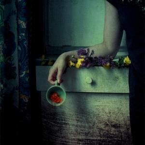 The Ruby End by Raluca Deca
