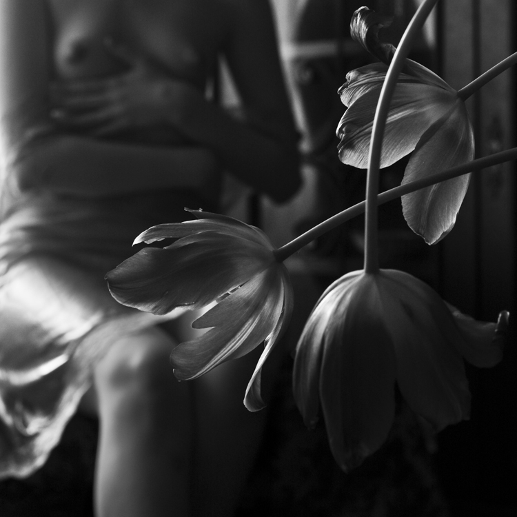 Tulips, photography by Cristina Pascu. The tulips are too red in the first place, they hurt me.
Even through the gift paper I could hear them breathe
Lightly, through their white swaddlings, like an awful baby.
Their redness talks to my wound, it corresponds.
They are subtle: they seem to float, though they weigh me down
Upsetting me with their sudden tongues and their color,
A dozen red lead sinkers round my neck.

Nobody watched me before, now I am watched.
The tulips turn to me, and the window behind me
Where once a day the light slowly widens and slowly thins,
And I see myself, flat, ridiculous, a cut-paper shadow
Between the eye of the sun and the eyes of the tulips,
And I have no face, I have wanted to efface myself
The vivid tulips eat my oxygen.

(Sylvia Plath). In People, Portrait