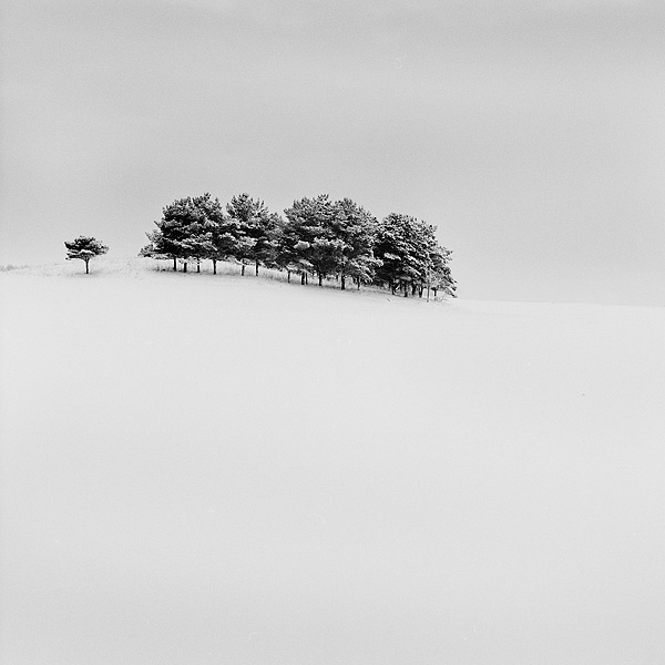 Untitled, photography by Andrey Kulpin. Bronica SQB. In Nature, Scenery, Countryside