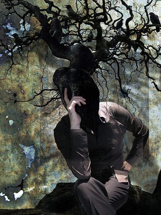 Bad thoughts among pigeons and crows, processing by Ivan Kap. nikon coolpix8800, PS, Mac. photomanipulation