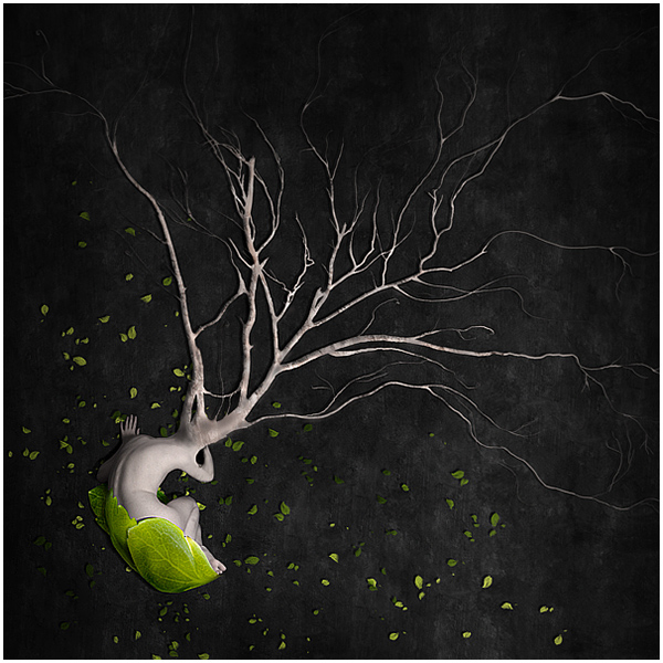 Rebirth, processing by Oana Cambrea