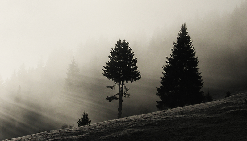 Lights, photography by V&aacute;rday B&eacute;la. In Nature, Scenery