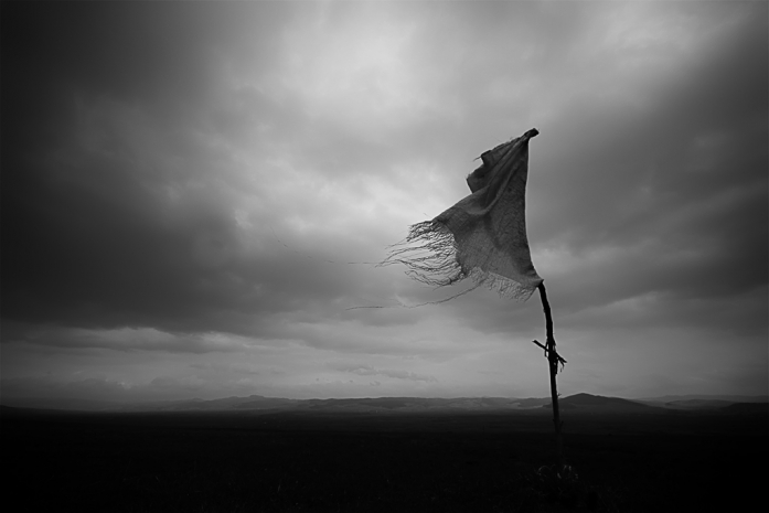 In The Wind, photography by V&aacute;rday B&eacute;la. Canon