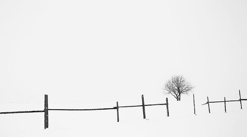 Escape, photography by V&aacute;rday B&eacute;la. In Construction, Element, Detail