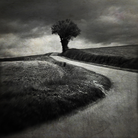 Textured Work#4, photography by Laurent Miaille. Beaumont/Leze - 04/10. Canon 5d + Lensbaby. Lensbaby. In Nature, Scenery, Countryside