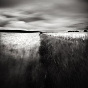 Days Of Wind#1 by Laurent Miaille