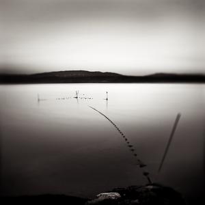 Silent Morning by Laurent Miaille