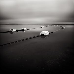 Spies by Laurent Miaille