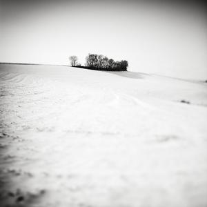 Under The Snow