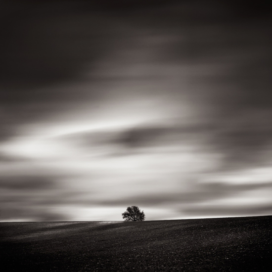 Beaumont/L&egrave;ze - 04/12. Canon 5d MKII + Mirex T/S adapter + Mamiya 35mm. Long Exposure. In Nature, Scenery, Countryside. Untitled#19, photography by Laurent Miaille. Image #381071