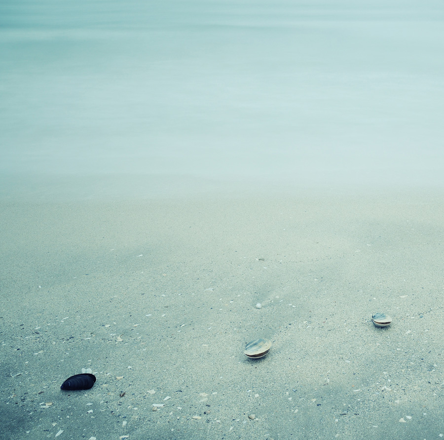 metamorphosis, photography by Silviu Anghel. In Nature, Scenery, Waterscape