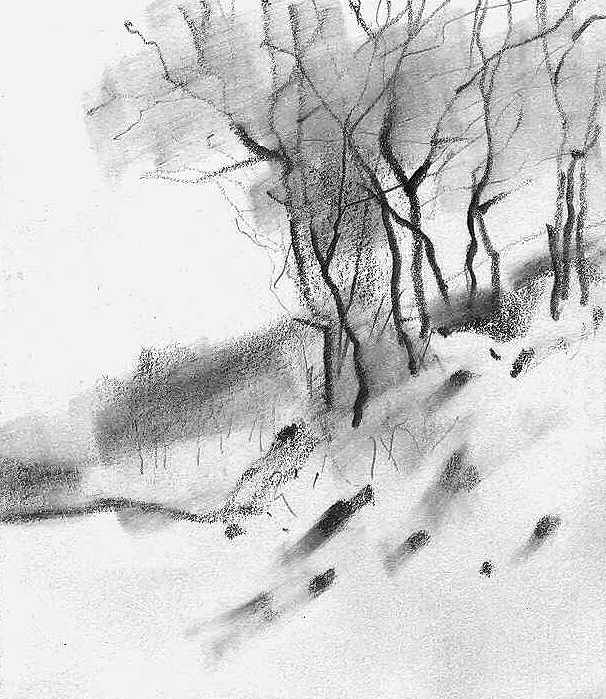 Croquis 2, drawing by George Oncioiu. graphite on paper,15x12cm. In Nature, Scenery