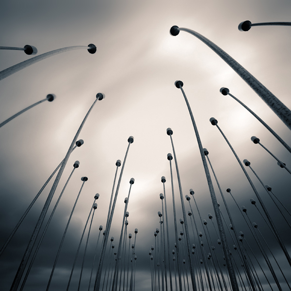 Future Flowers II, photography by Alper &ccedil;ukur. Nikon D60. Long exposure