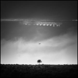 Les Lignes De Fuite by Alexandre Parrot