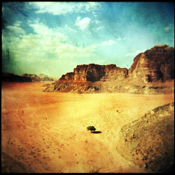 Deserted solitude, photography by Matthieu G.. Holga 120. Portra 160VC - Cross Process - texture from ArtofDecay.. In Nature, Scenery