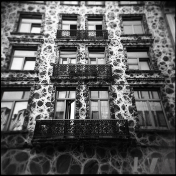 Neuronal house, photography by Matthieu G.. Holga 120. Tmax 400. In Construction, Edifice, Building