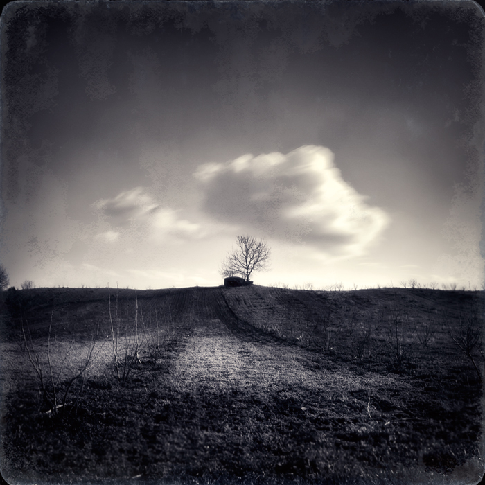 as we pass, photography by Uzengia Aleksandar Nedic. In Nature, Scenery