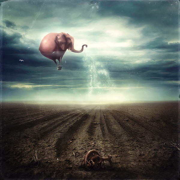 aquaelephantus, processing by Uzengia Aleksandar Nedic. In Transportation, Air, aircraft