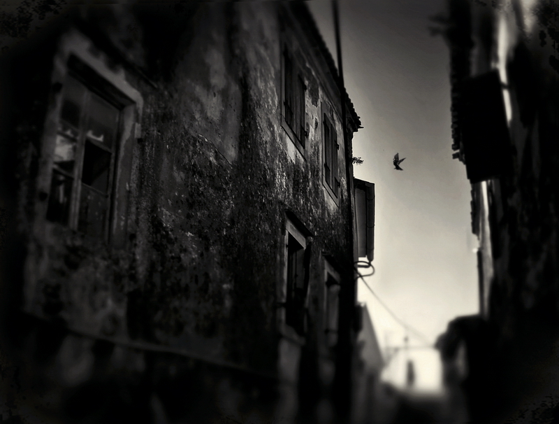 inthemorning, photography by Uzengia Aleksandar Nedic. In Construction