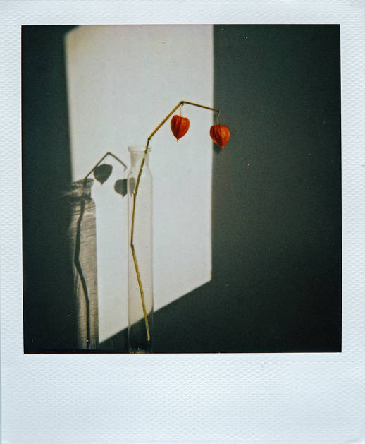 Untitled, photography by Vlad Egorov. Polaroid Impulse AF Polaroid 600. In Object, Still life