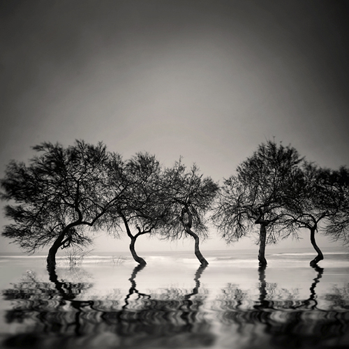 Dancing with the wind, photography by Nilgun Kara. Canon 5D. In Nature, Scenery, Waterscape