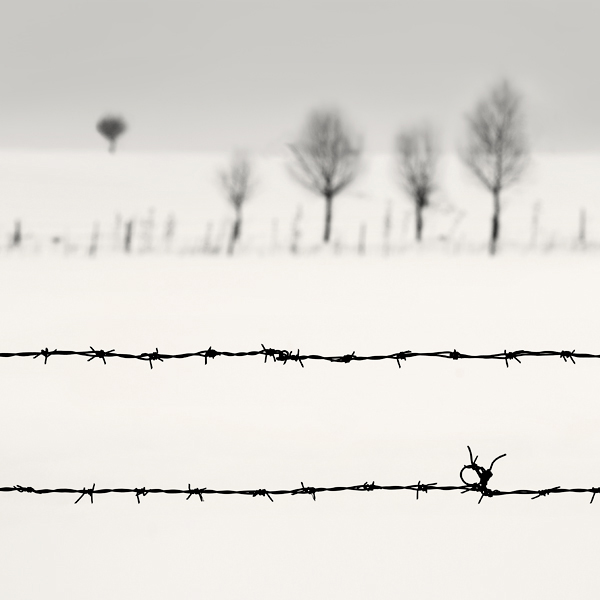 private life.., photography by Nilgun Kara. Canon 5D. In Nature, Scenery